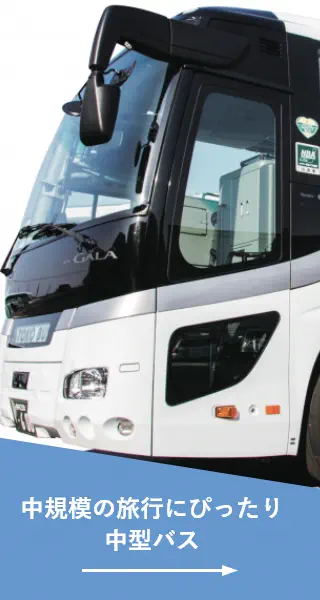 中規模の旅行にぴったり中型バス